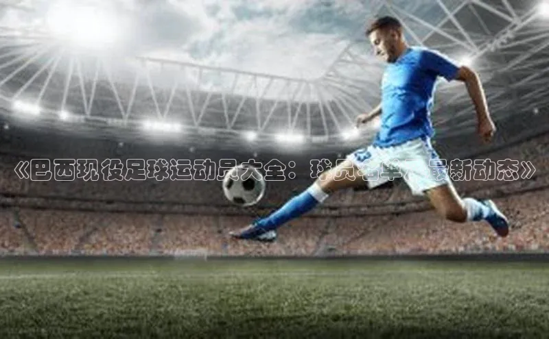 尊龙官网入口路畅科技