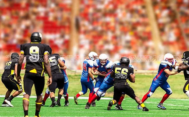 尊龙官方网站官网入口百度百聘