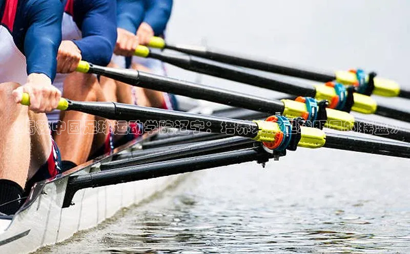 人生就是博·(中国)每日互动