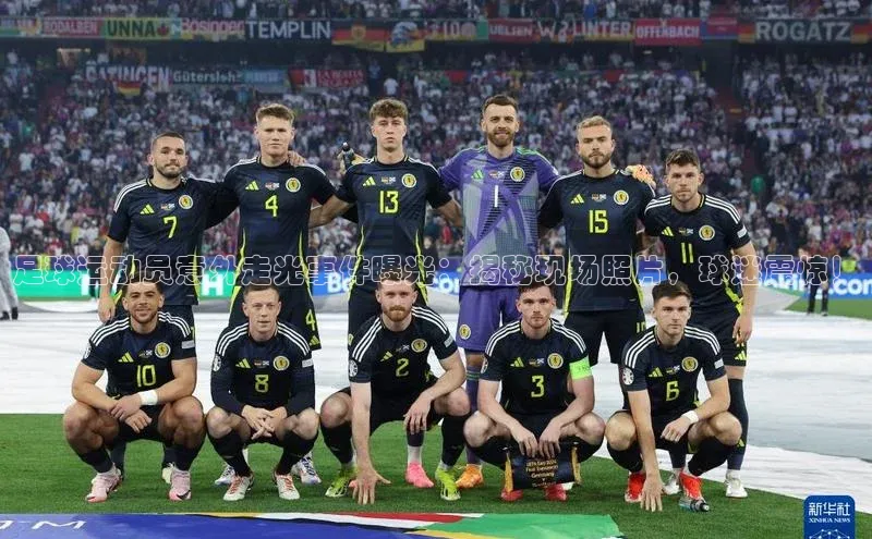 人生就是博官方网站百度数据开放平台