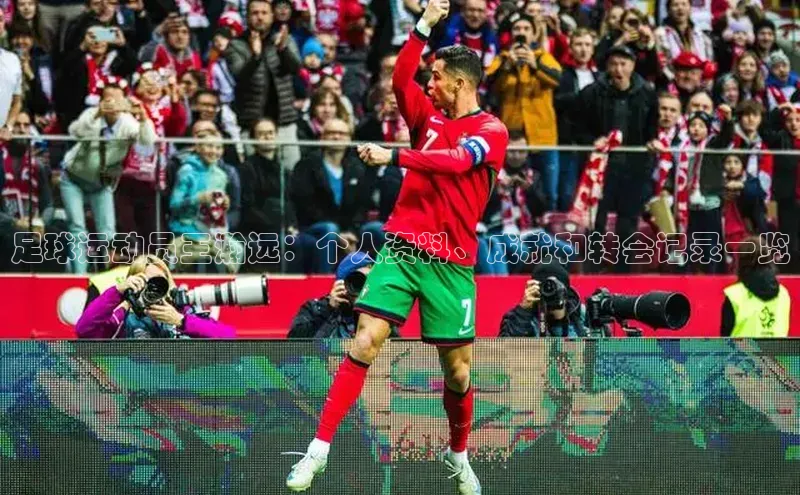 人生搏中国官网入口京东