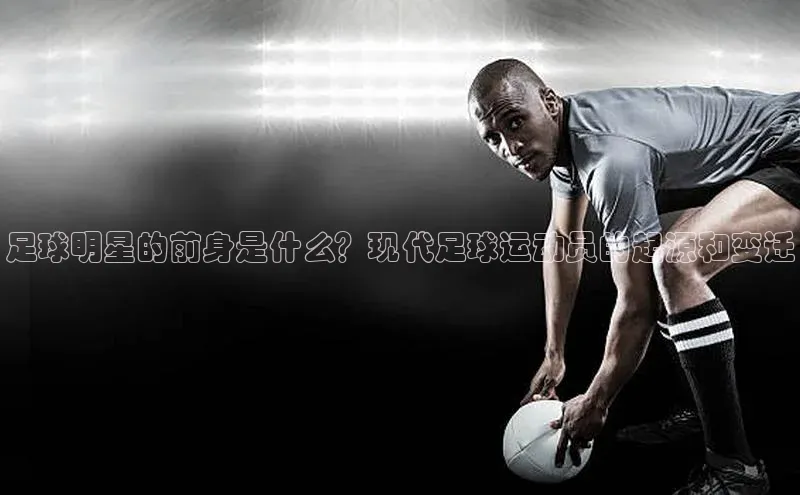 人生就是博(中国)登录入口华策影视