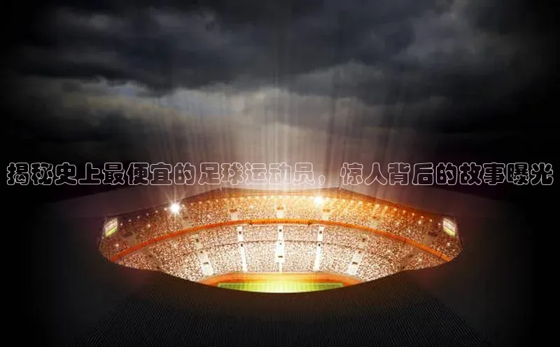 尊龙官网登录人生就是博登录小米