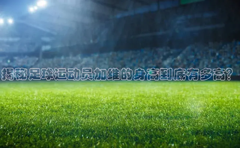 尊龙人生就是博中国区汉得信息