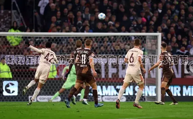 人生就是博·(中国)观星盘