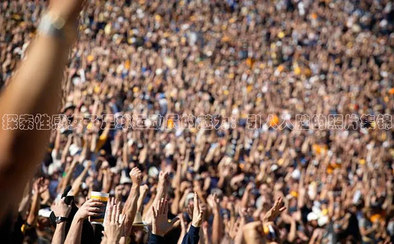 尊龙凯时人生是搏z6com哇咔哇咔文化