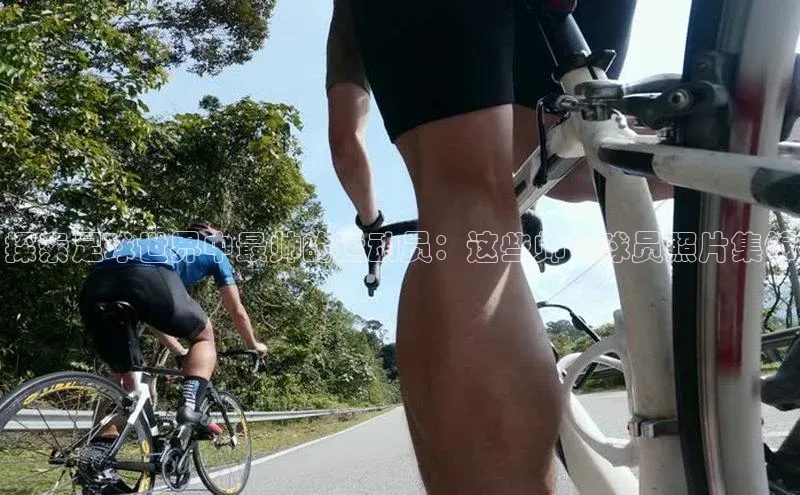 尊龙官网入口路畅科技