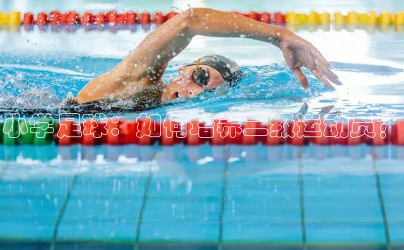 人生搏中国官网入口诸葛科技