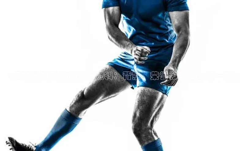 尊龙官网入口百度翻译App