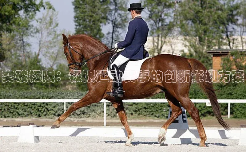 人生就是博·(中国区)官方网站网易