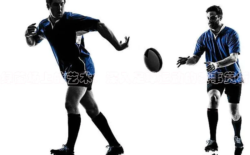 尊龙凯时人生就是搏z6com