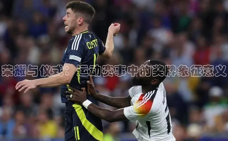 人生搏中国官网入口