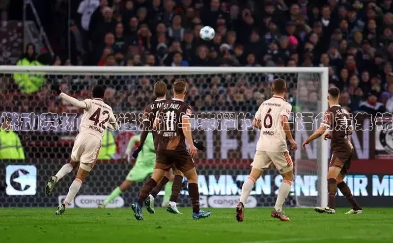 尊龙官方网站官网入口