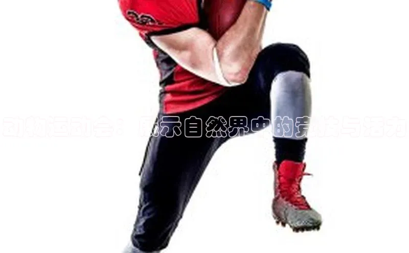 尊龙人生就是博中国区