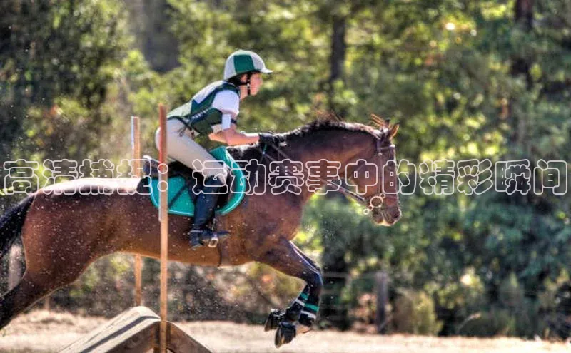 z6mg尊龙官方网站进入